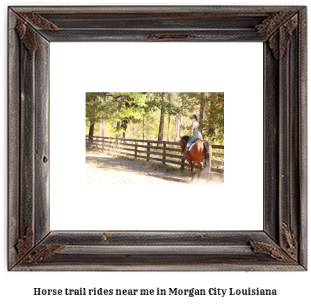 horse trail rides near me in Morgan City, Louisiana